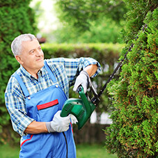 Hedge Cutting Gloves